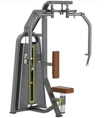 OEM het Commerciële Gymnastiekmateriaal zette Rechte de Borstmachine 200kg van de Wapenklem