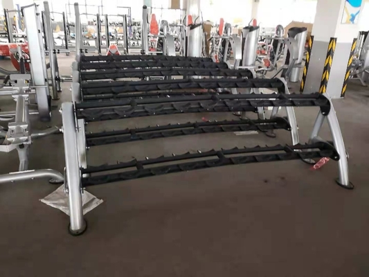 Van de de Gymnastiekclub van de oefeningsspier de Geschiktheidsdomoor 2 het Rek 80kg van de Rijdomoor