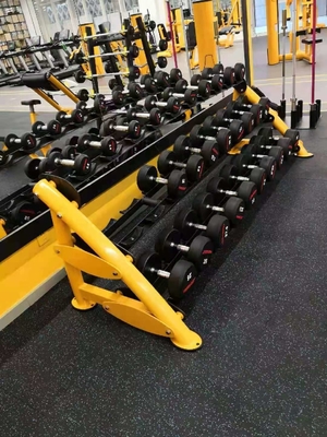 Van de de Gymnastiekclub van de oefeningsspier de Geschiktheidsdomoor 2 het Rek 80kg van de Rijdomoor