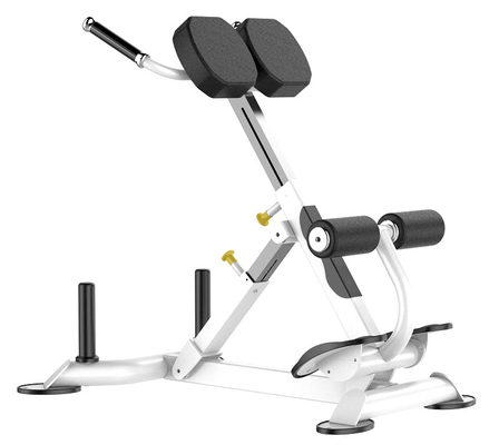 De Machine van Rohsroman chair back extension exercise voor Gymnastiek