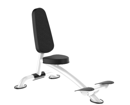 De Machine van Rohsroman chair back extension exercise voor Gymnastiek