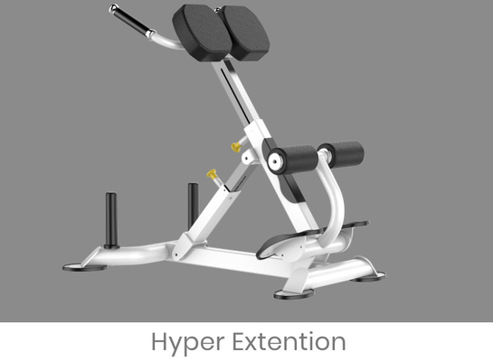 De Machine van Rohsroman chair back extension exercise voor Gymnastiek
