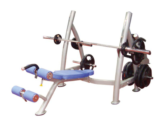 De Bank van het de Gymnastiekgewicht van douanelogo exercise muscle metal decline