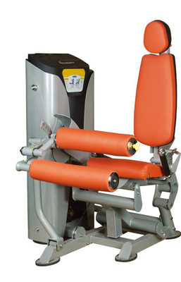 Commerciële van het de Buisbeen van het Gymnastiekmateriaal T3.5 Langwerpige van de de Krulmachine de Oefeningsspier