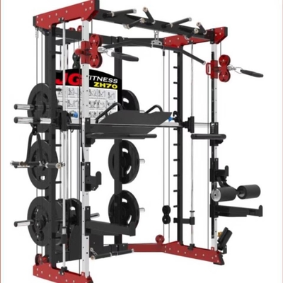 De Draaigeschiktheid Smith Machine Home Gym van Barbell Hurkende Barbell