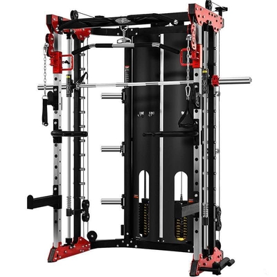 Het Rek Commerciële Geschiktheid Smith Machine 200kgs van de Combomacht