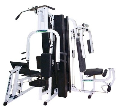 Groep van het de Gymnastiekmateriaal 50kgs/2 van Bourgondië de Commerciële Multifunctionele