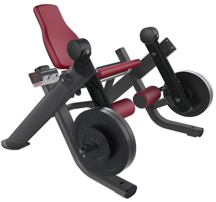 Van de het Gewichtsgymnastiek van de beenuitbreiding Vrije van het Materiaald de Vormbuis ISO Zij het Knielen Beenkrul