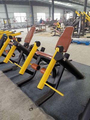 Van de het Gewichtsgymnastiek van de beenuitbreiding Vrije van het Materiaald de Vormbuis ISO Zij het Knielen Beenkrul