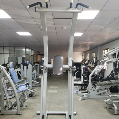 De Machineoem van Chin Up Bar Body Fit van de Bodybuildingsgeschiktheid ODM