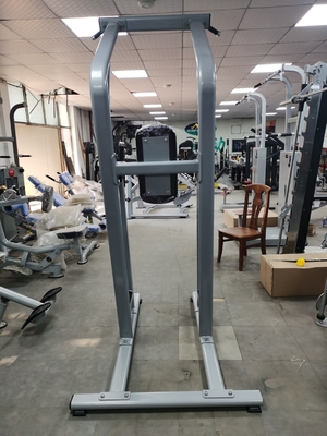 De Machineoem van Chin Up Bar Body Fit van de Bodybuildingsgeschiktheid ODM