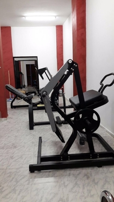 Van de het Gewichtsgymnastiek van de staalbuis de Vrije van de het Materiaal Achterterugslag Machine 125kg