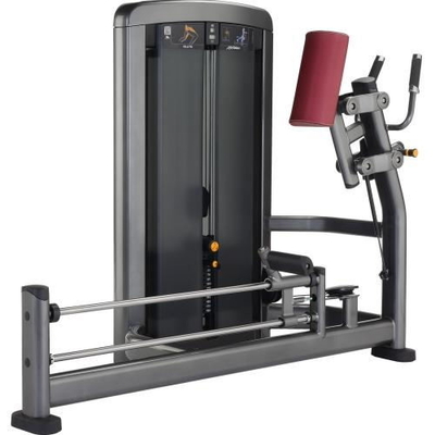 Bodybuildingsgeschiktheid die de Multitrainer van de Heupmachine Geïntegreerde Gymnastiek bevinden zich