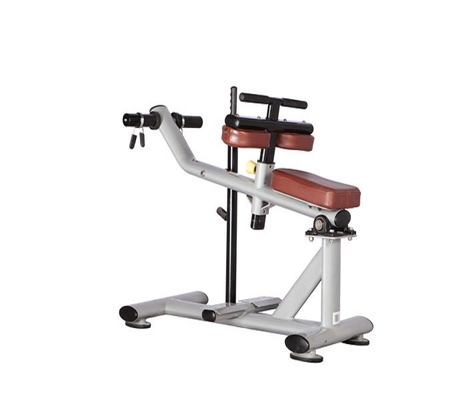 ISO9001 Gezette het Kalfsmachine h-029 van de gymnastiekgeschiktheid Toebehoren