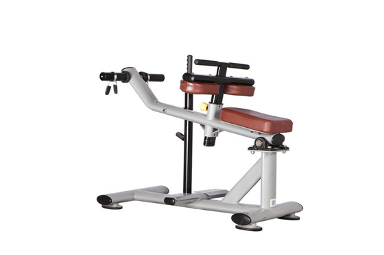 ISO9001 Gezette het Kalfsmachine h-029 van de gymnastiekgeschiktheid Toebehoren