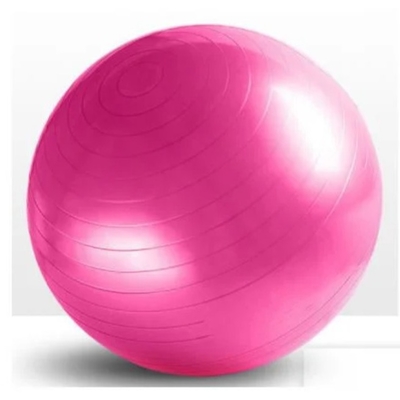 Stabiliteitstraining Fitness Beweging Balance Gym Yoga Bal Pilates Apparatuur