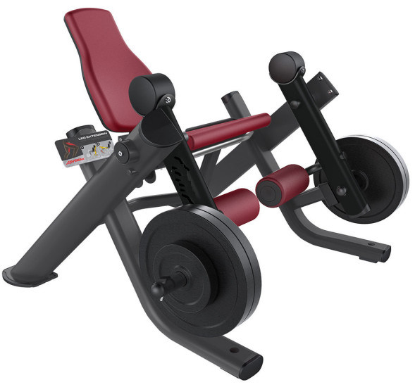 Van de het Gewichtsgymnastiek van de beenuitbreiding Vrije van het Materiaald de Vormbuis ISO Zij het Knielen Beenkrul